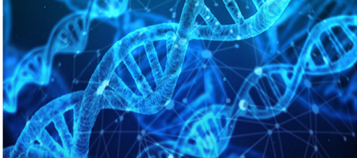 Representation of DNA showing the double helix structure