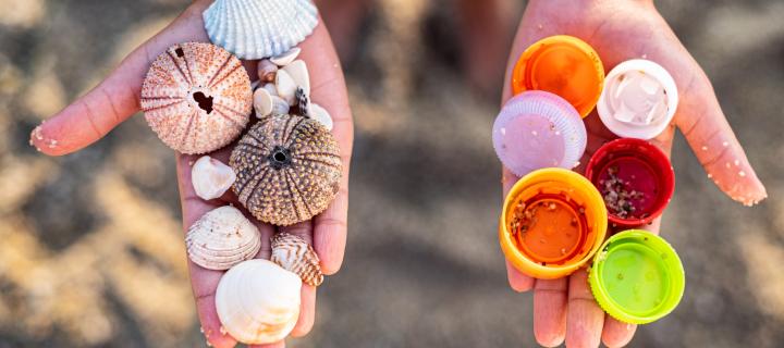 Two hands outstretched, one holds sea shells and the other holds plastic bottle caps. 