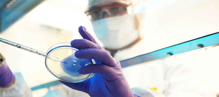 Scientist looking at a test tray through glass, wearing blue gloves and protective face wear. © Reptile8488 via Getty Images