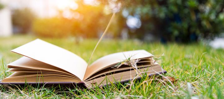 Single open book on green grass
