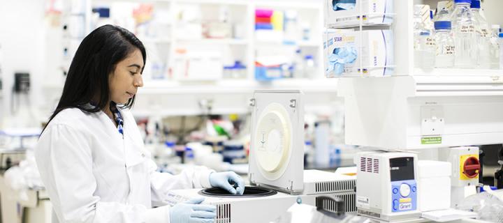 Female researcher working at a lab bench.