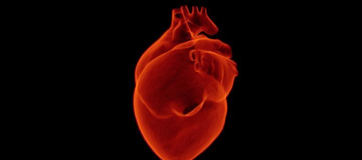 An image of a heart