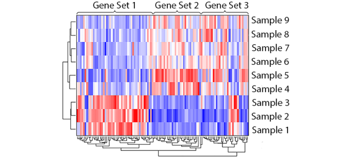Gene expression heat map