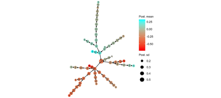 Hierarchical modelling of haplotype effects