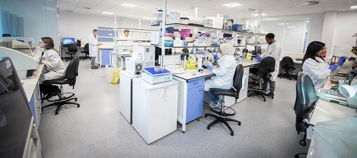 Institute of Genetics and Cancer research laboratory