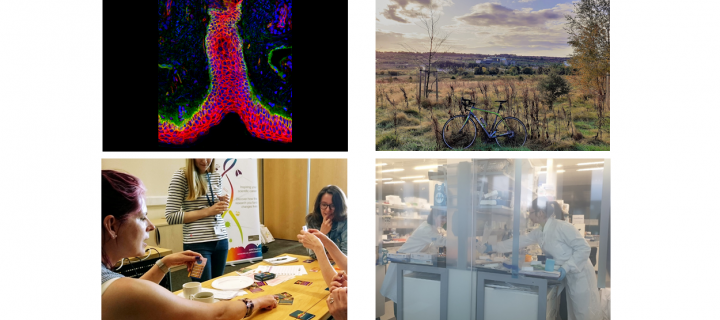 IRR 2019 photo competition winners