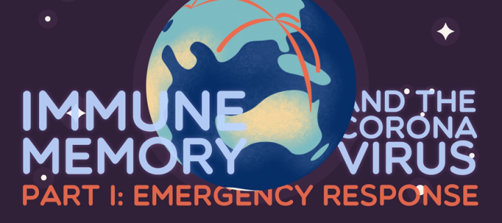 Title card for Immune Memory and the Coronavirus animations, showing Earth with pandemic spread lines.