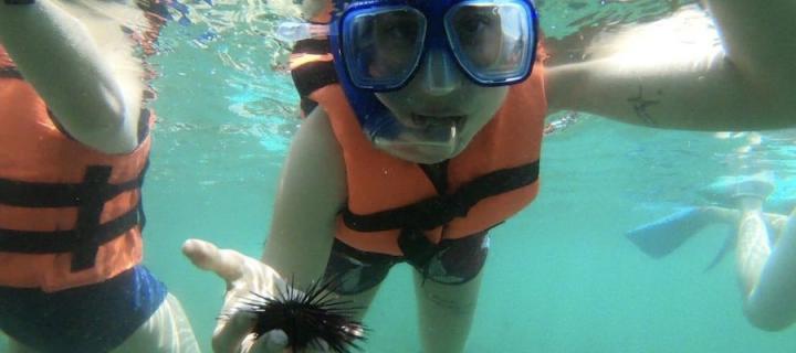Swimming with sea urchins