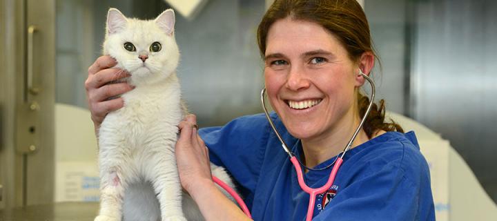 A happy vet with a happy cat