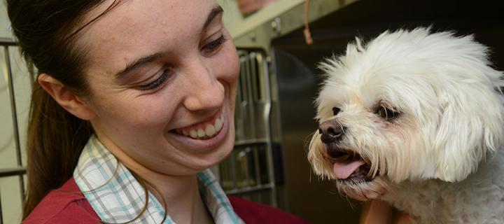 smiling intern with a dog