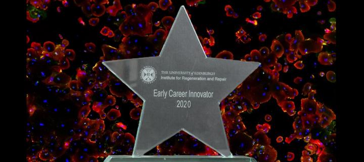 IRR Early Career Innovator 2020 trophy