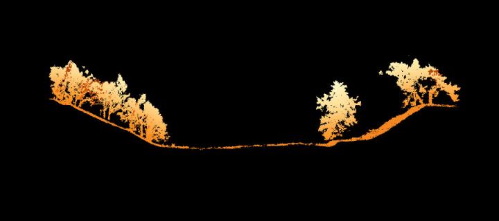 LiDAR cross section of forest at Dryden Farm