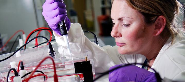 Researcher loading DNA gel in lab