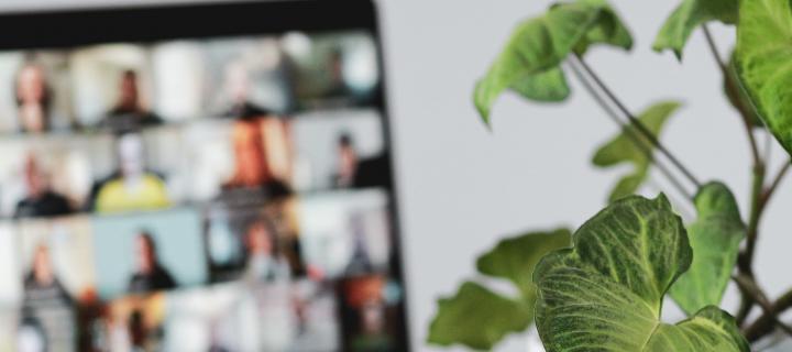 members onscreen beside greenery