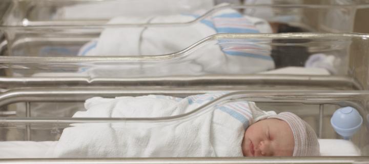 A row of cots of in a hospital containing newborn babies
