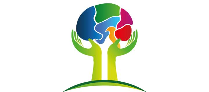 NIMR Mental Health Research Framework news 2017