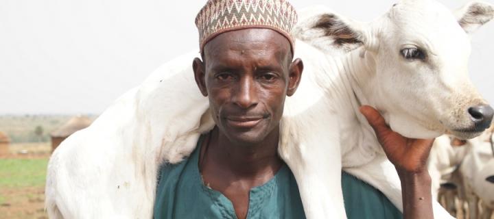 African man with calf over shoulders