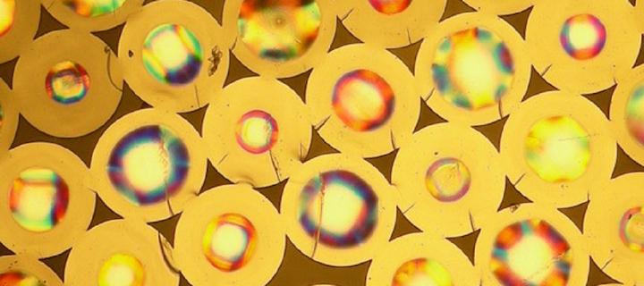 Optical image cores produced by EPSRC-supported Proteus Project 