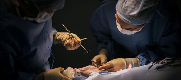 An orthopaedic surgery procedure 