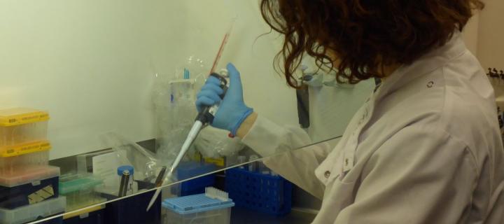 Kirsty, a lab scientist, pipetting a solution into saliva samples for DNA Extraction