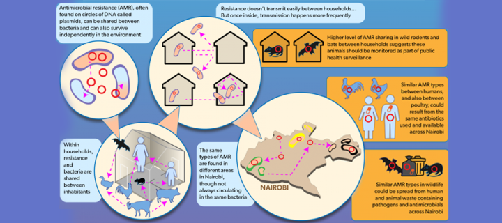 an infographic showing pathogen transmission