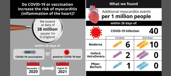 Infographic summarising key findings: more myocarditis events from COVID infection than vaccination