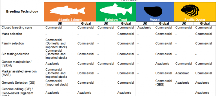 This graph rates the level of breeding technologies applied to each of the four main aquaculture species in the UK and globally.