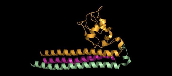 JP lab research illustration of 3D coils in yellow, pink and green