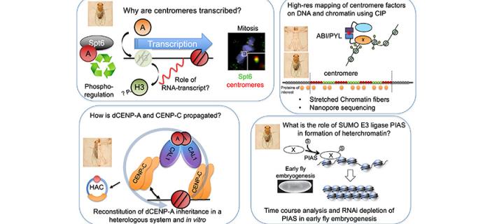 Heun lab research illustration, details in page text