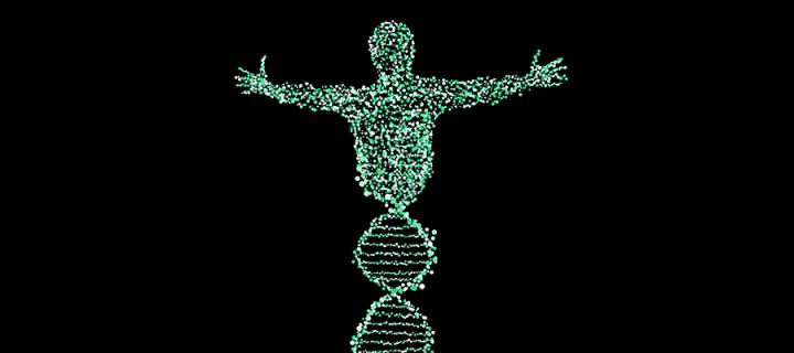 Illustration of a DNA stranding forming into the shape of a person with outstretched arms.