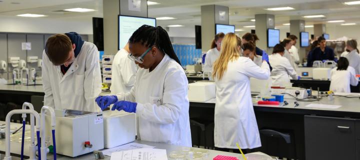 A group of students in a science lab are performing an experiment while wearing lab coats, googles and gloves