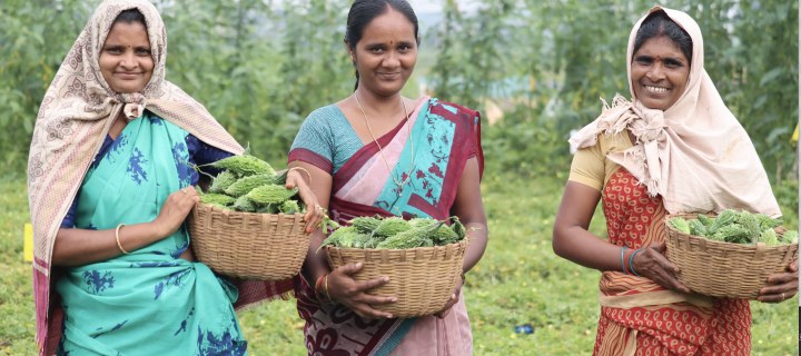 Three Indian women holding food they have grown