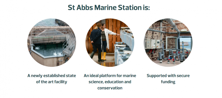 The St Abbs website contains more information relating to their ongoing research.