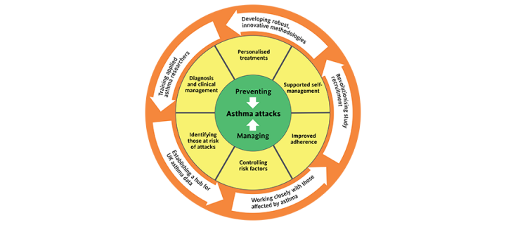 The Strategy wheel for Asthma UK Centre for Applied Research