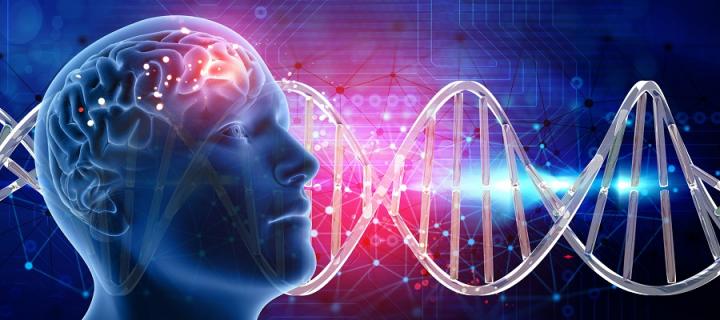 Brain and gene graphic