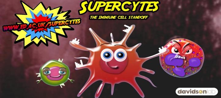 Image of supercytes cells