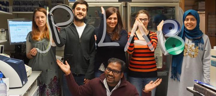 Group photo with the lab members making the letters of 'JP LAB' with their arms, JP crouches in front