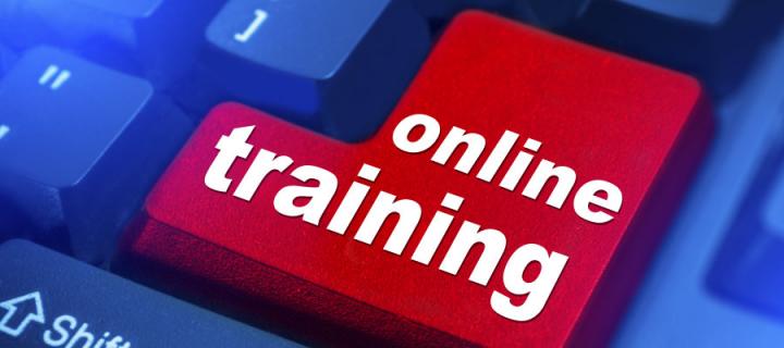 Image of a key with online training