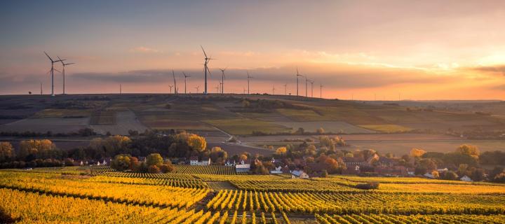 wind turbines on farmland