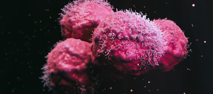 A 3D rendering of cancer cells