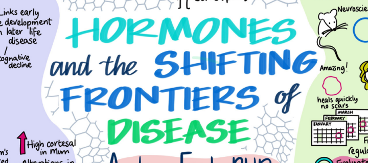 image saying 'hormones and the shifting frontiers of disease'