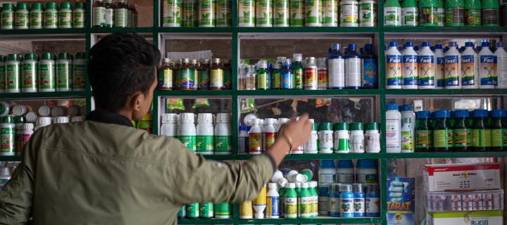 Image shows a pesticide vendor reaching out to grab a bottle from a display within his shop.