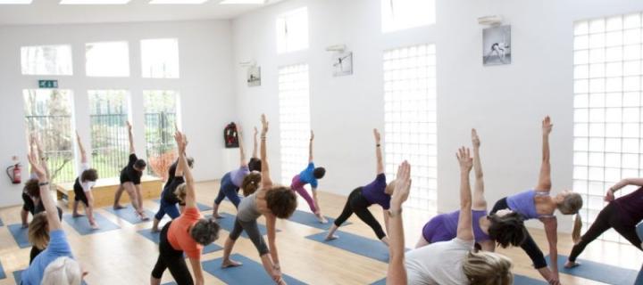 Photograph of a yoga studio. There are people standing on yoga mats facing away from the camera. They are all stretching