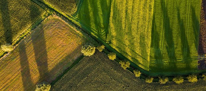 Aerial view of a plowed field