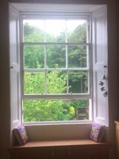 Image of a white window frame, looking out onto green trees