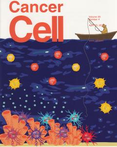 Cancer Cell Front Cover Pollard Cassetta