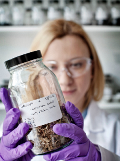 A scientist in a lab wearing surgical gloves holding a jar containing biochar. The jar label says 'willow biochar'