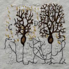 Developing punkje cell embroidery by Elaine Sandeman, used for the front cover of the Lancet Neurology September 2021 cover.