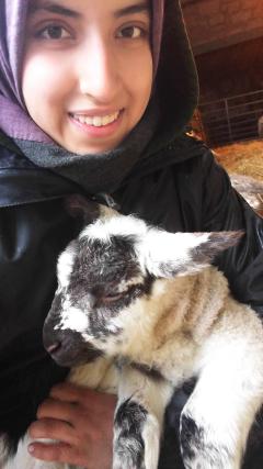 Image of girl with lamb