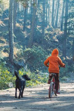 A child in an orange coat cycling through the forest alongside a dog